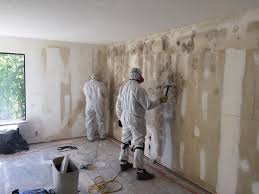 Professional Mold Remediation in Searcy, AR